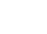 New Modern Oasis Design