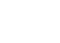 New Modern Oasis Design