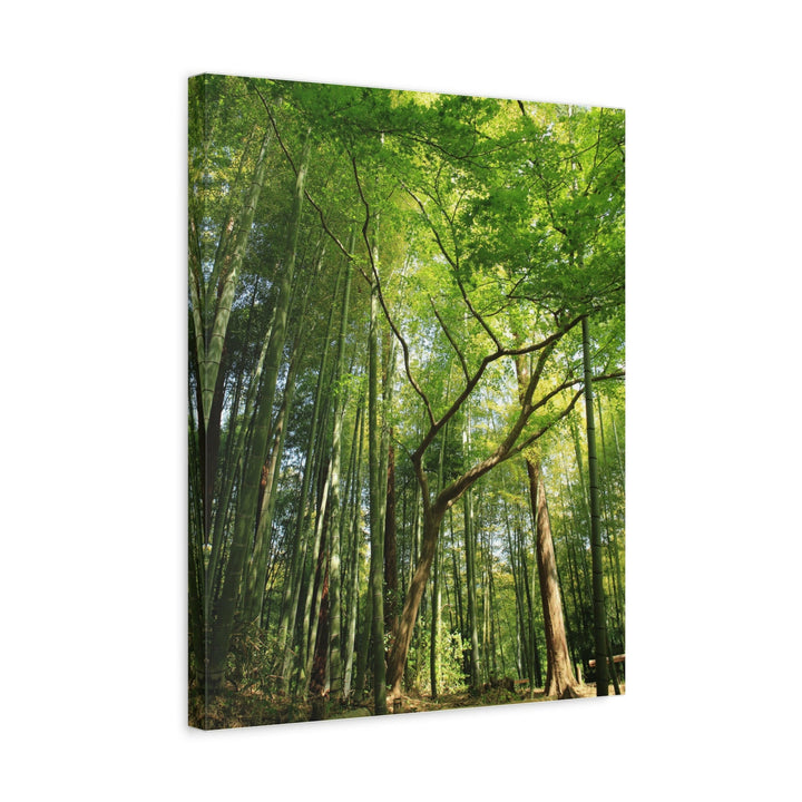 Green Bamboo Forest - Modern Oasis Sensory Design & Art Studio - Canvas