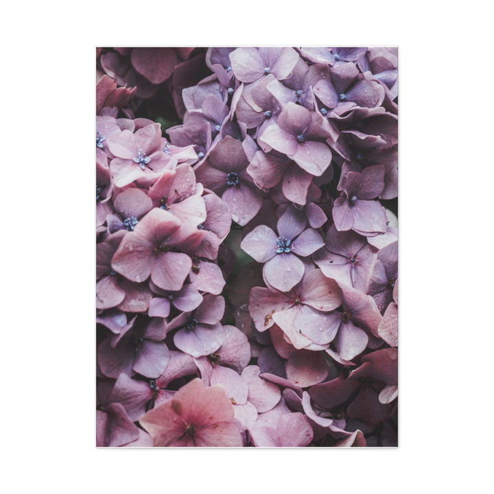 Blooming Purple Flowers - Modern Oasis Sensory Design & Art Studio - Canvas