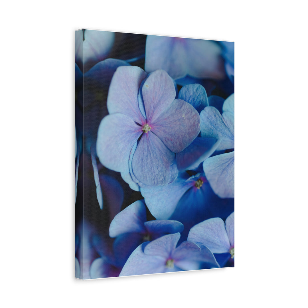 Soft Floral Bloom - Modern Oasis Sensory Design & Art Studio - Canvas