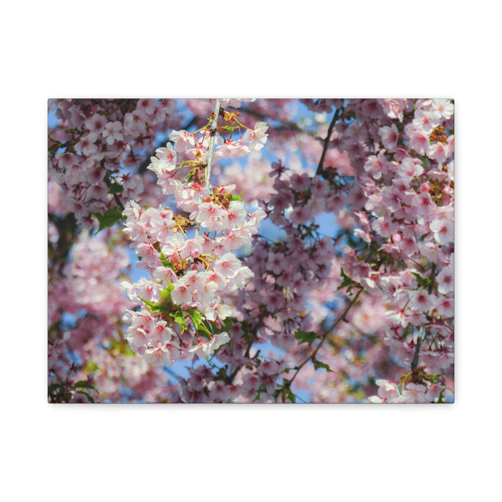 Delicate Blossoms - Modern Oasis Sensory Design & Art Studio - Canvas