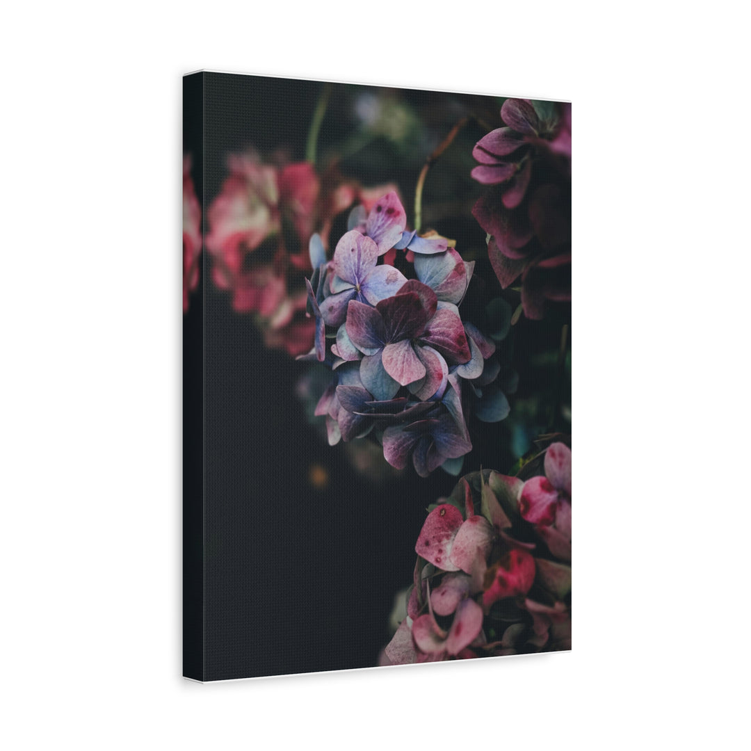 Soft Meadow - Modern Oasis Sensory Design & Art Studio - Canvas