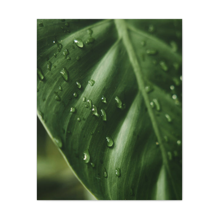 Green Leaf - Modern Oasis Sensory Design & Art Studio - Canvas