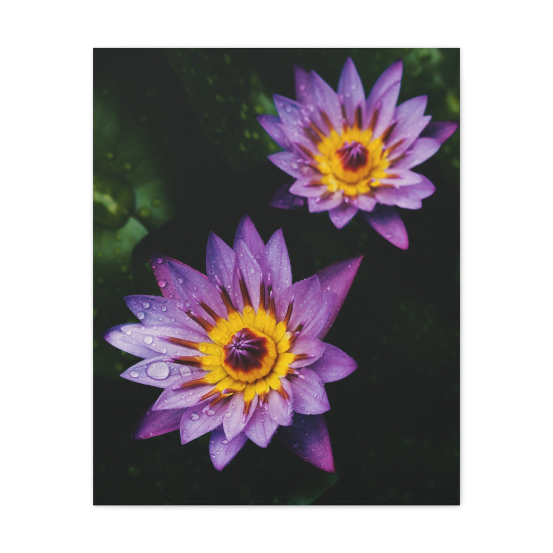 Beautiful Floral - Modern Oasis Sensory Design & Art Studio - Canvas