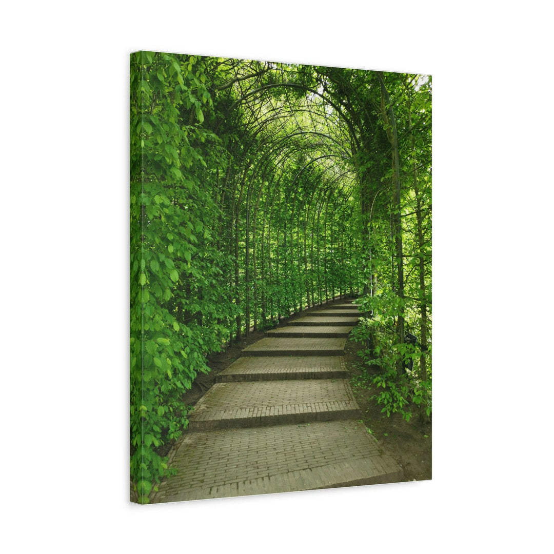 Serene Green Path - Modern Oasis Sensory Design & Art Studio - Canvas