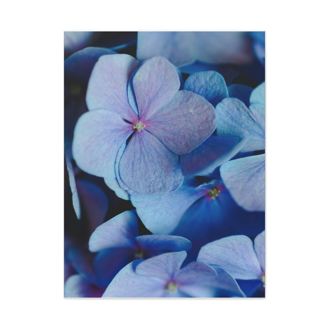 Soft Floral Bloom - Modern Oasis Sensory Design & Art Studio - Canvas