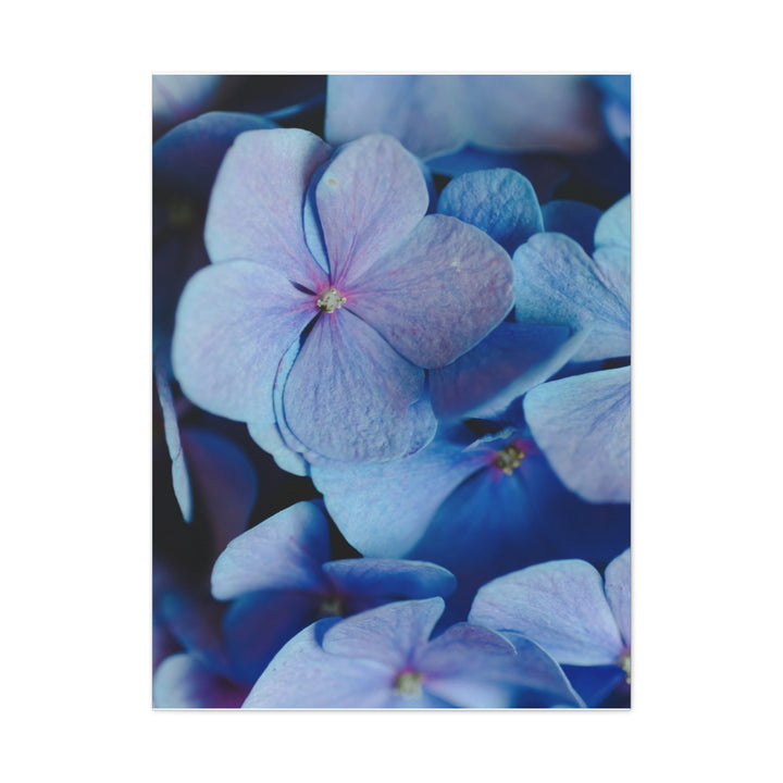 Soft Floral Bloom - Modern Oasis Sensory Design & Art Studio - Canvas
