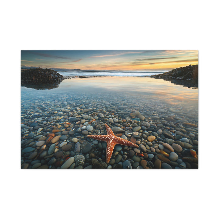 Starfish Calm - Modern Oasis Sensory Design & Art Studio - Canvas