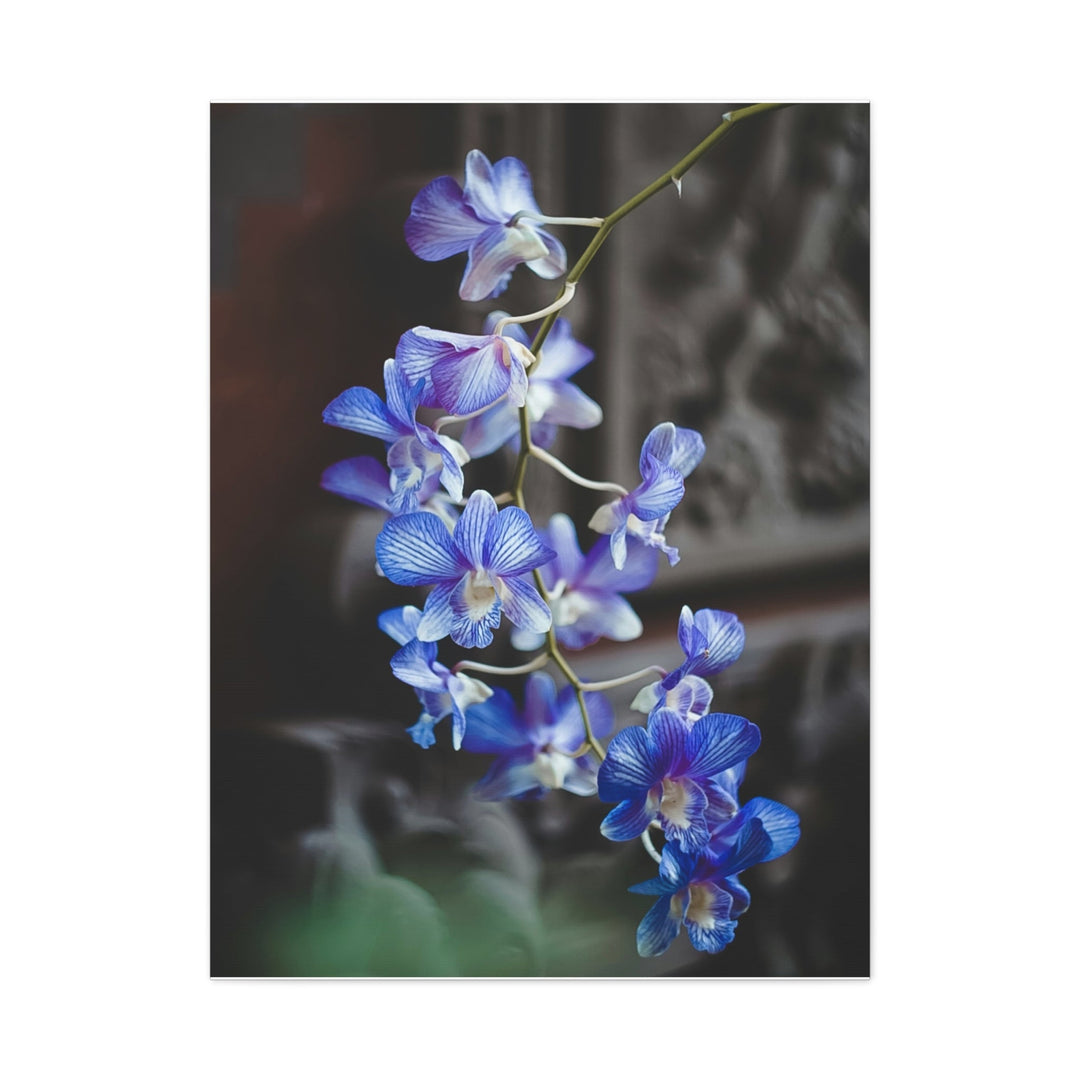 Orchid Blooms - Modern Oasis Sensory Design & Art Studio - Canvas