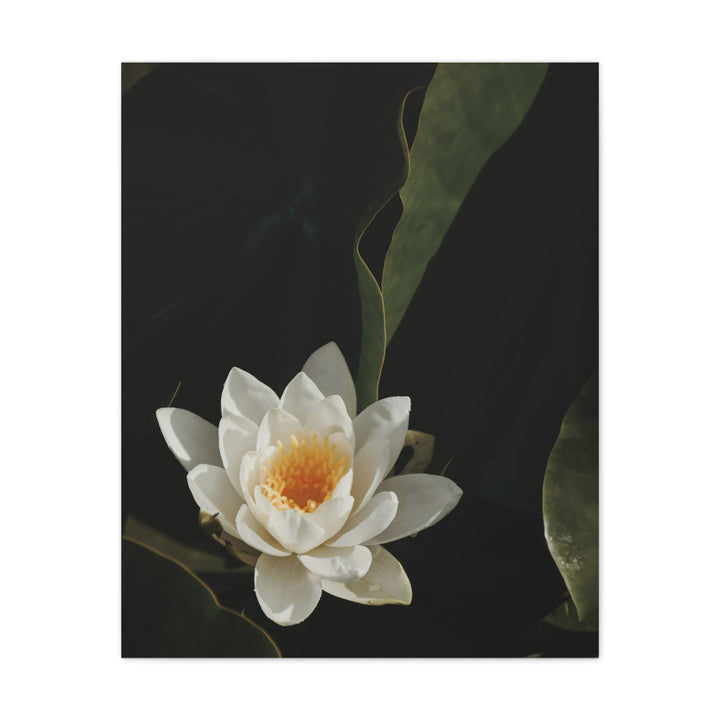 White Lotus - Modern Oasis Sensory Design & Art Studio - Canvas