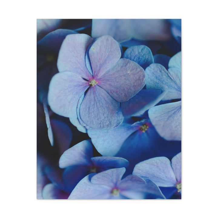 Soft Floral Bloom - Modern Oasis Sensory Design & Art Studio - Canvas