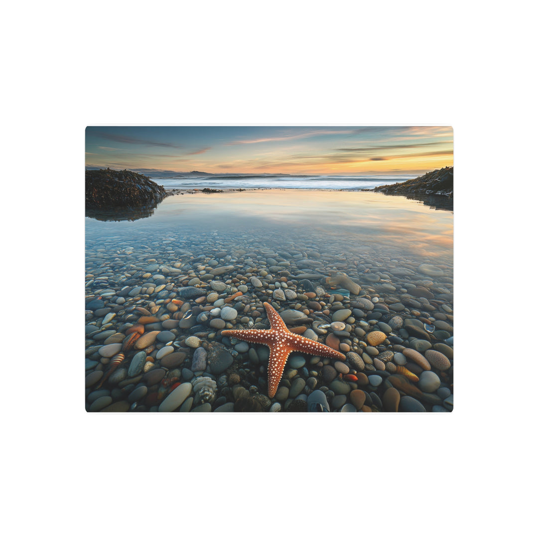 Starfish Calm Metal Art - Modern Oasis Sensory Design & Art Studio - Home Decor