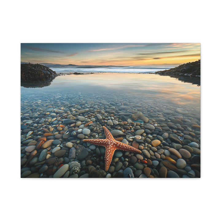 Starfish Calm - Modern Oasis Sensory Design & Art Studio - Canvas