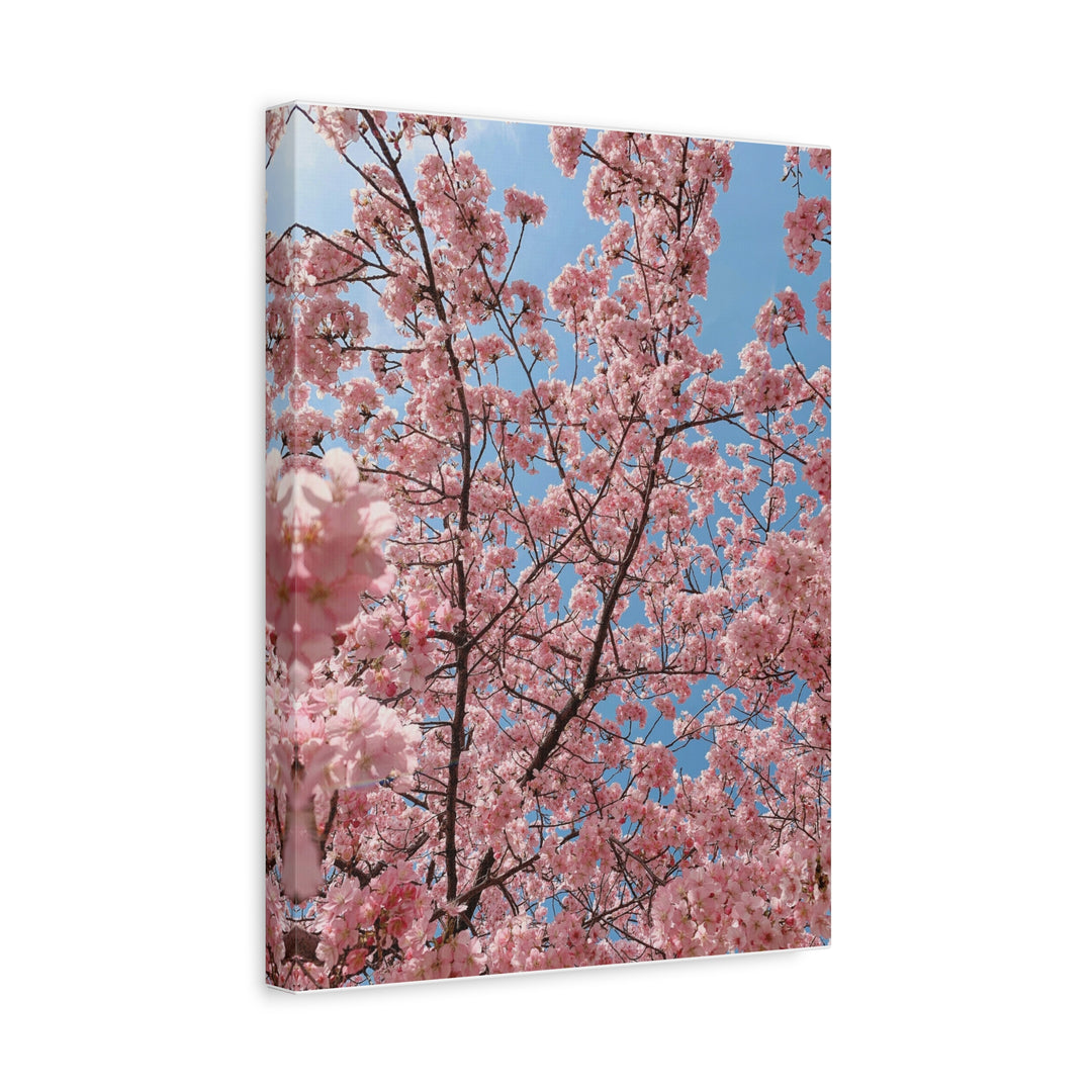 Spring Blossom - Modern Oasis Sensory Design & Art Studio - Canvas