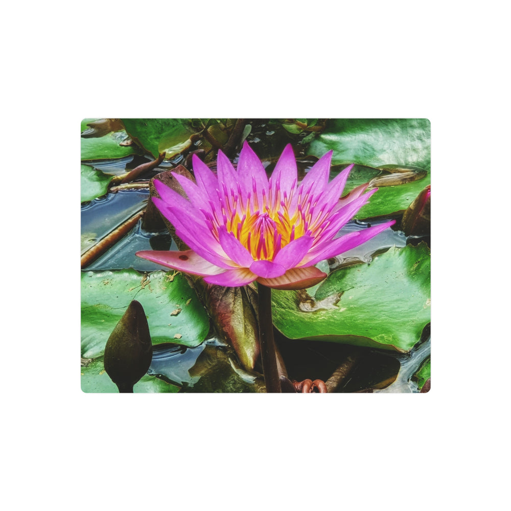 Vibrant Water Lily Metal Art - Modern Oasis Sensory Design & Art Studio - Home Decor