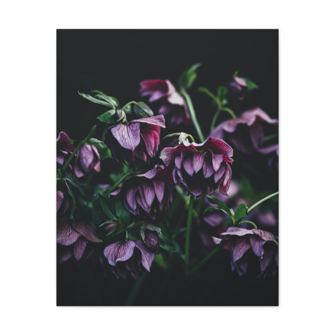 Artistic Floral - Modern Oasis Sensory Design & Art Studio - Canvas