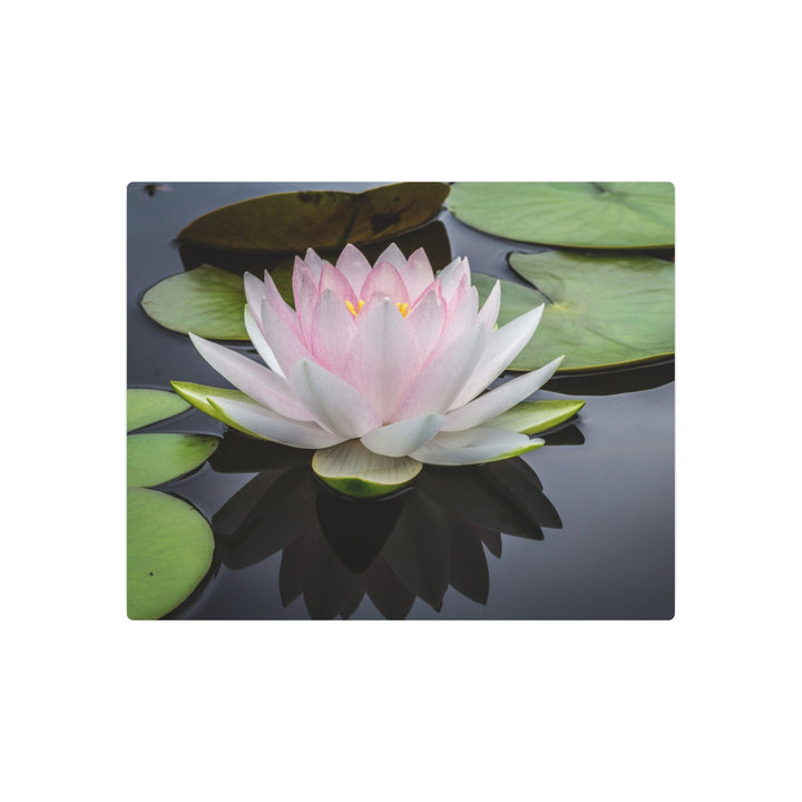Serene Water Lily Wall Art - Modern Oasis Sensory Design & Art Studio - Home Decor