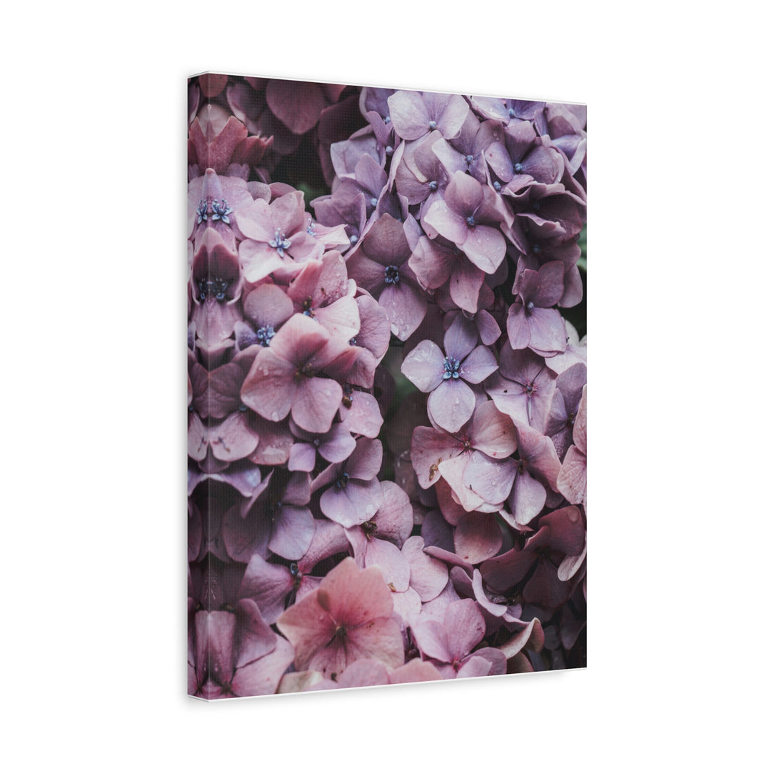 Blooming Purple Flowers - Modern Oasis Sensory Design & Art Studio - Canvas