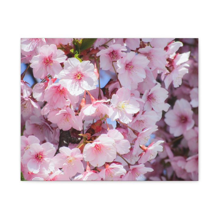 Cherry Blossom - Modern Oasis Sensory Design & Art Studio - Canvas