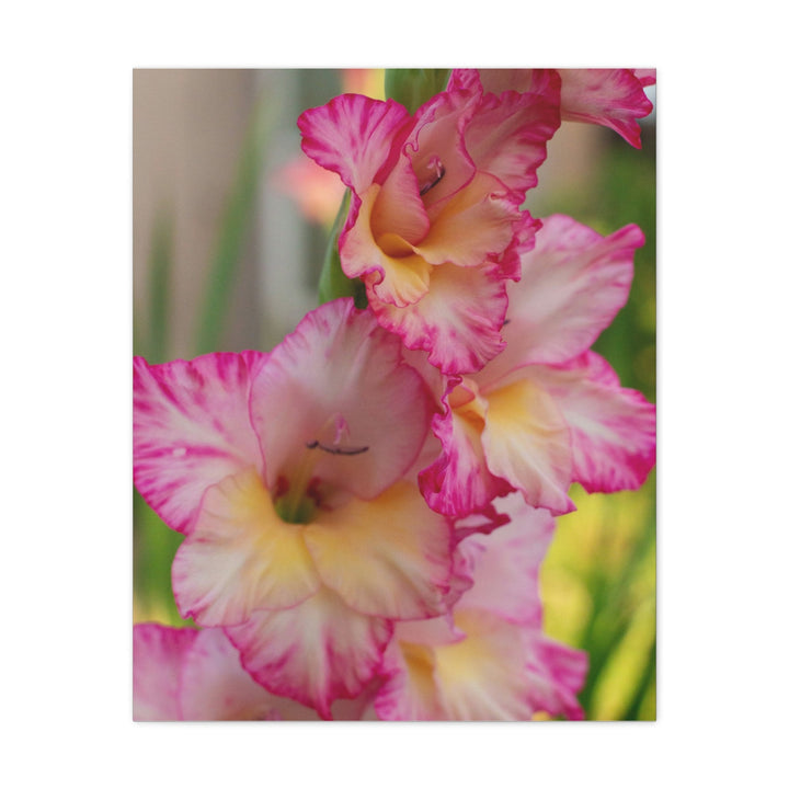 Velvet Bloom - Modern Oasis Sensory Design & Art Studio - Canvas