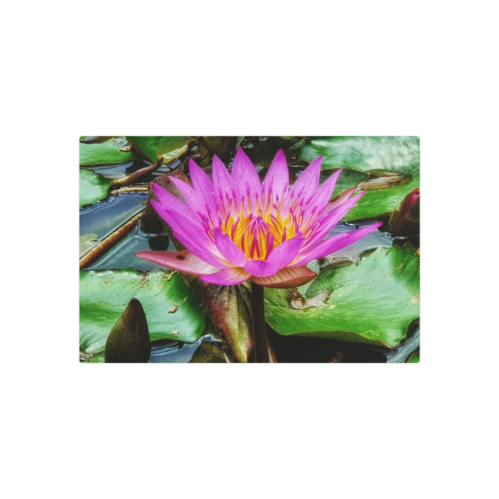 Vibrant Water Lily Metal Art - Modern Oasis Sensory Design & Art Studio - Home Decor