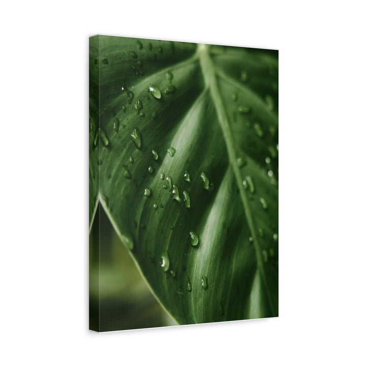 Green Leaf - Modern Oasis Sensory Design & Art Studio - Canvas