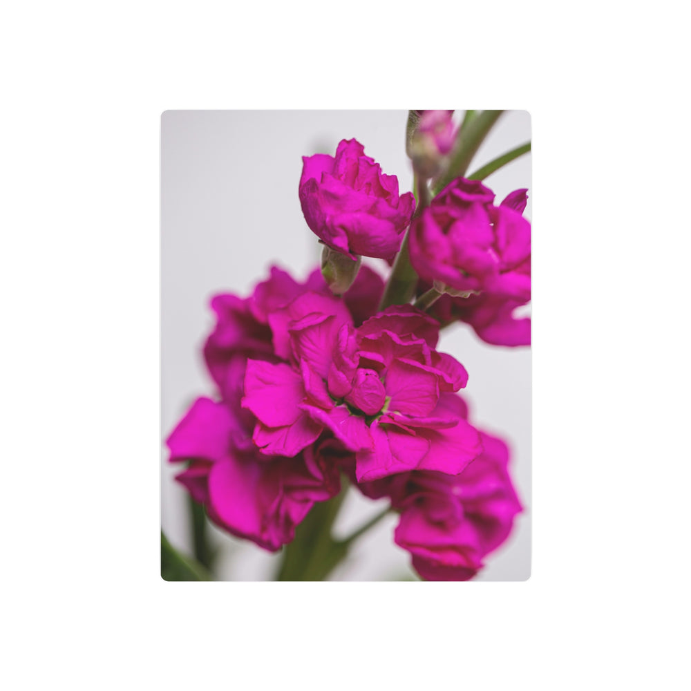 Pink Petal Metal Art - Modern Oasis Sensory Design & Art Studio - Home Decor