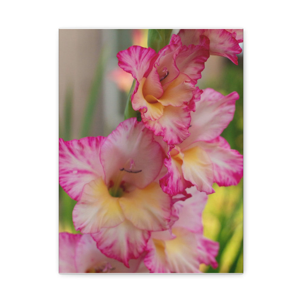 Velvet Bloom - Modern Oasis Sensory Design & Art Studio - Canvas
