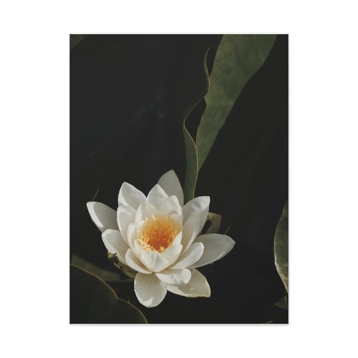 White Lotus - Modern Oasis Sensory Design & Art Studio - Canvas