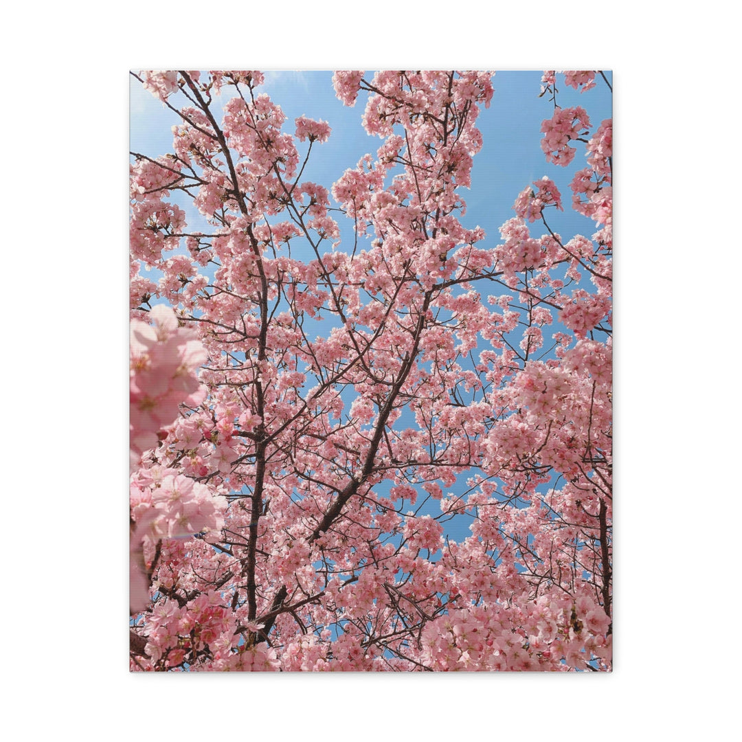 Spring Blossom - Modern Oasis Sensory Design & Art Studio - Canvas