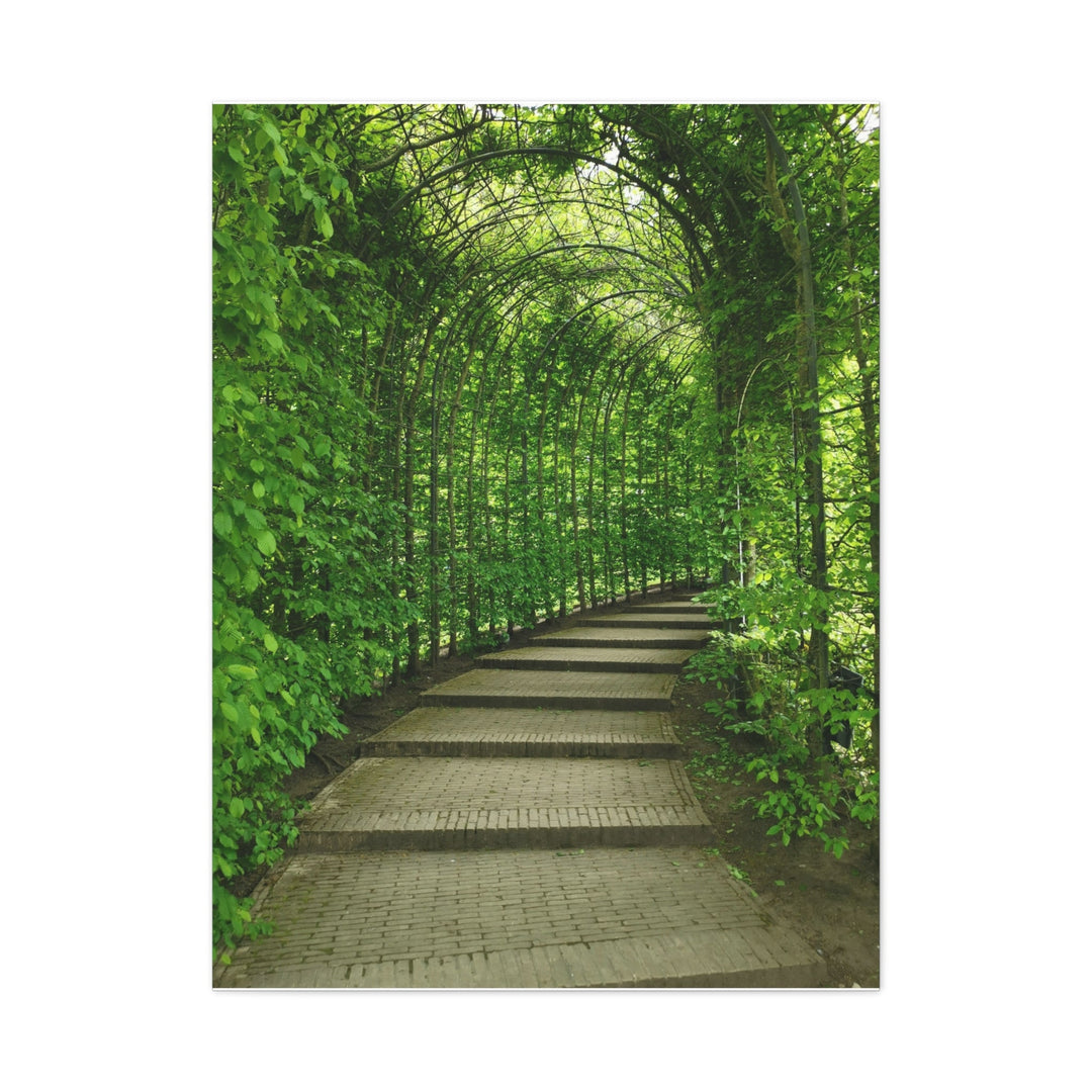 Serene Green Path - Modern Oasis Sensory Design & Art Studio - Canvas