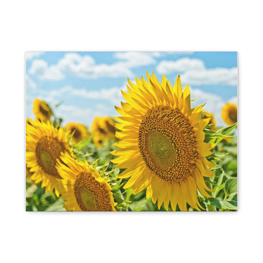 Sunflower Radiance - Modern Oasis Sensory Design & Art Studio - Canvas