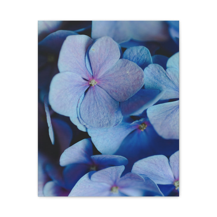 Soft Floral Bloom - Modern Oasis Sensory Design & Art Studio - Canvas