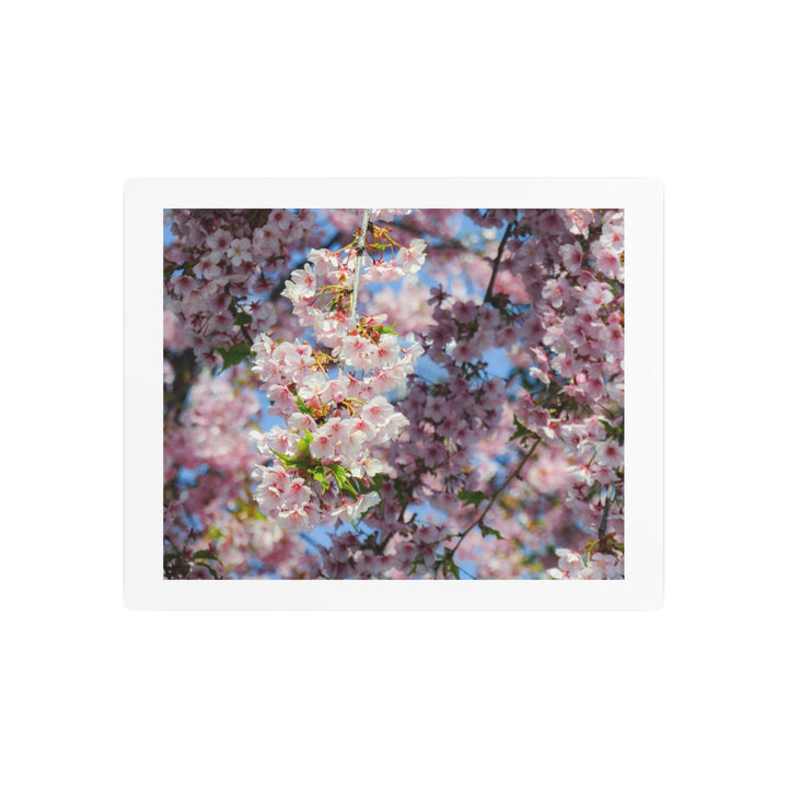 Delicate Blossoms Metal Art - Modern Oasis Sensory Design & Art Studio - Home Decor