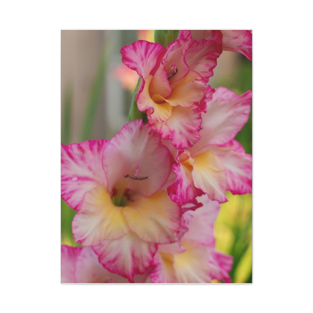Velvet Bloom - Modern Oasis Sensory Design & Art Studio - Canvas
