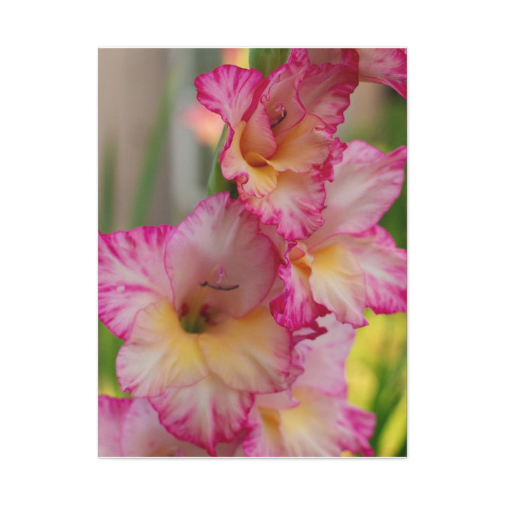 Velvet Bloom - Modern Oasis Sensory Design & Art Studio - Canvas