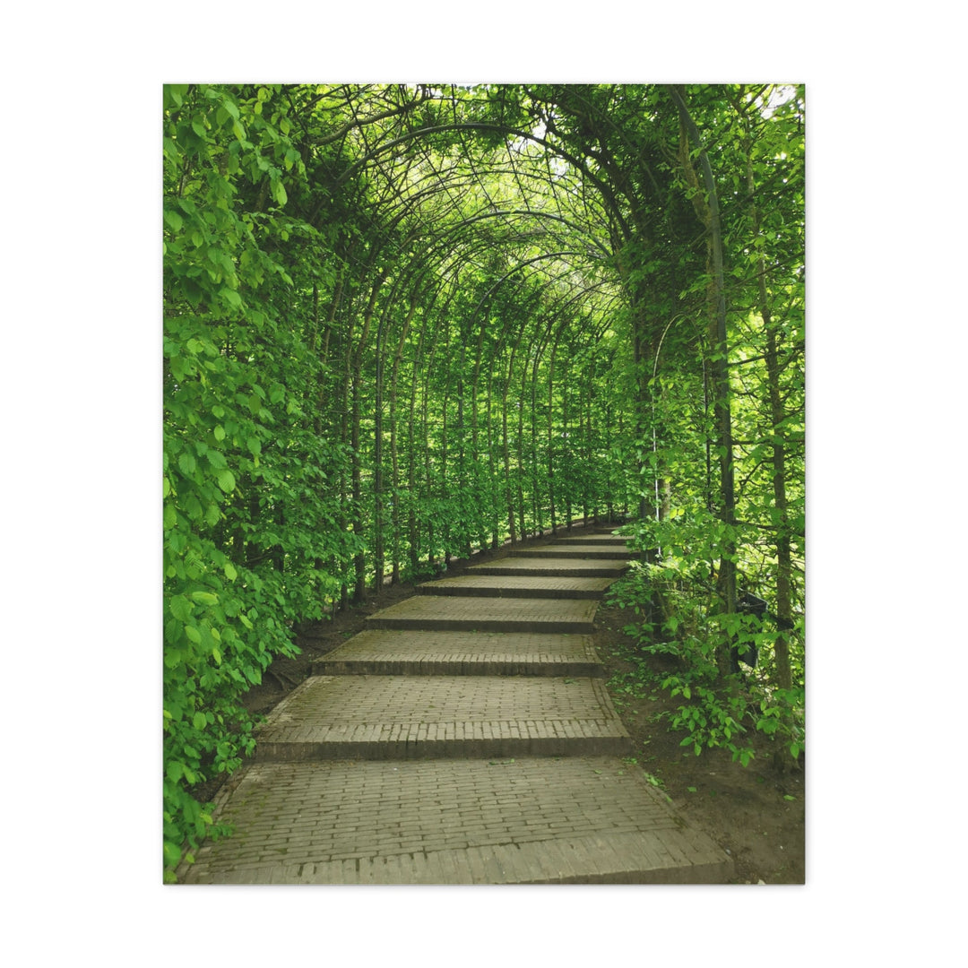 Serene Green Path - Modern Oasis Sensory Design & Art Studio - Canvas