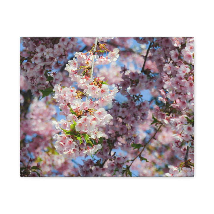 Delicate Blossoms - Modern Oasis Sensory Design & Art Studio - Canvas
