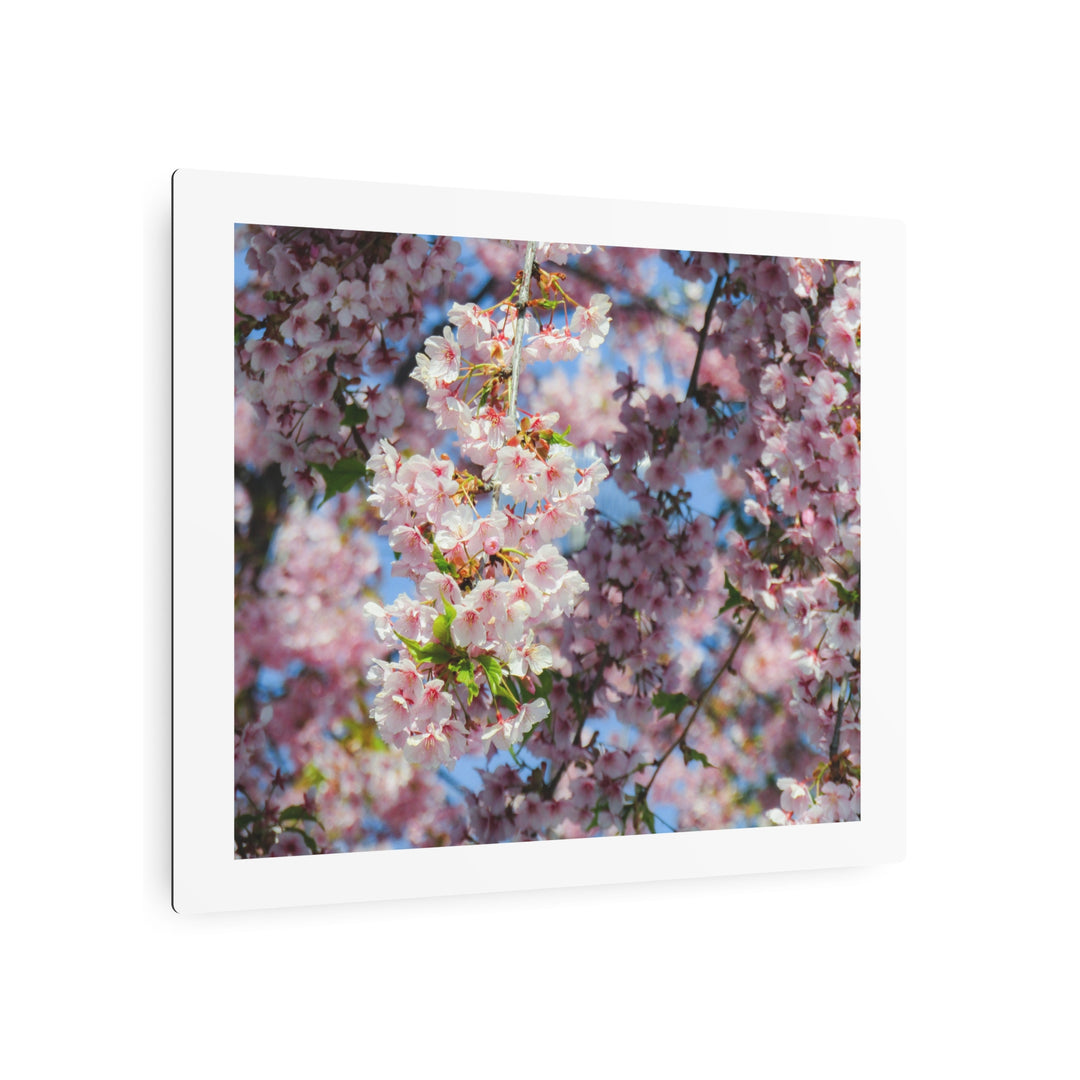 Delicate Blossoms Metal Art - Modern Oasis Sensory Design & Art Studio - Home Decor