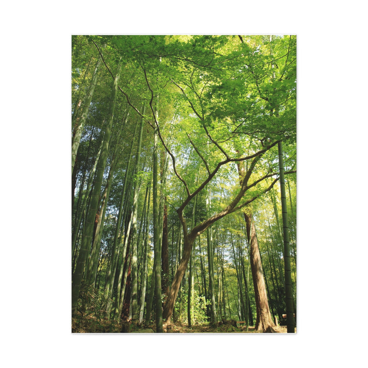 Green Bamboo Forest - Modern Oasis Sensory Design & Art Studio - Canvas