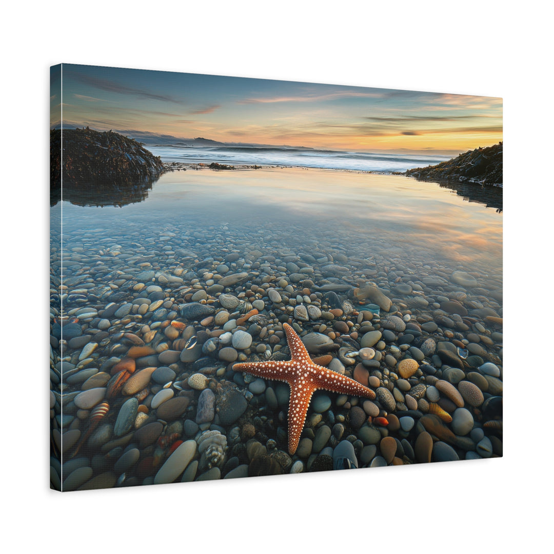 Starfish Calm - Modern Oasis Sensory Design & Art Studio - Canvas