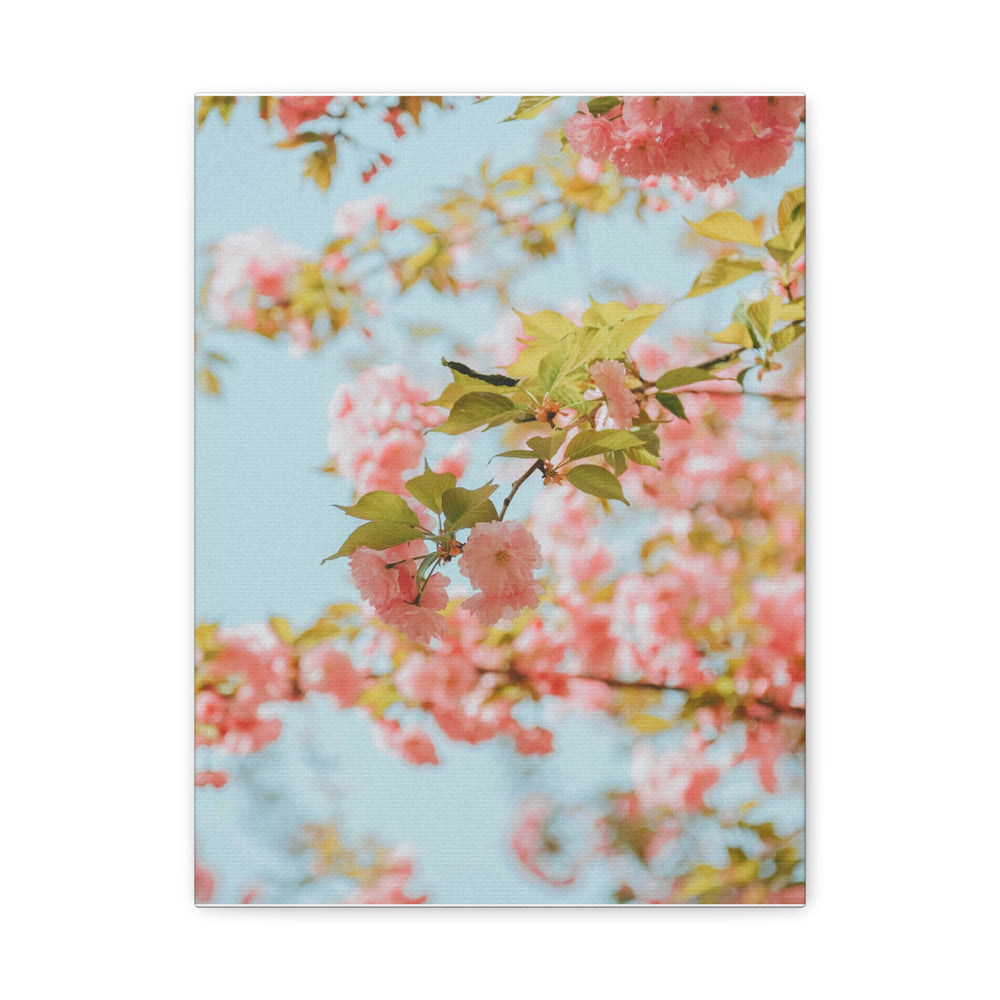 Peace Petals - Modern Oasis Sensory Design & Art Studio - Canvas