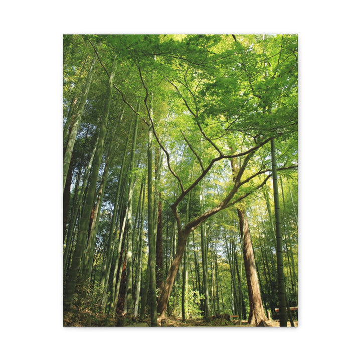 Green Bamboo Forest - Modern Oasis Sensory Design & Art Studio - Canvas