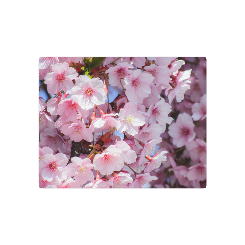 Cherry Blossom Metal Art - Modern Oasis Sensory Design & Art Studio - Home Decor
