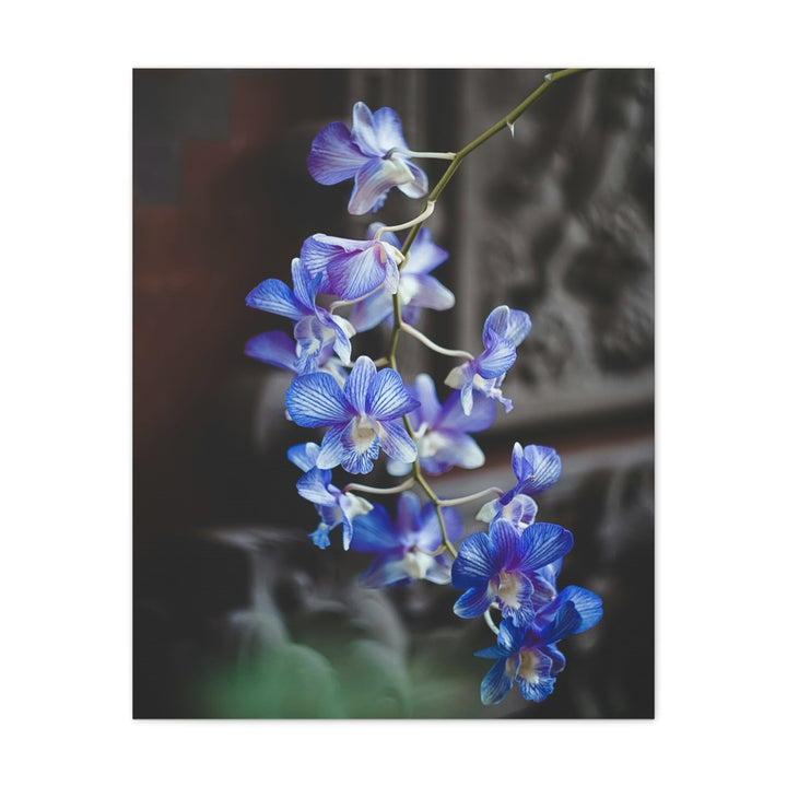 Orchid Blooms - Modern Oasis Sensory Design & Art Studio - Canvas