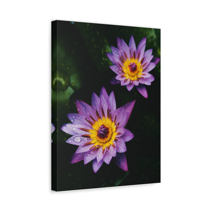 Beautiful Floral - Modern Oasis Sensory Design & Art Studio - Canvas