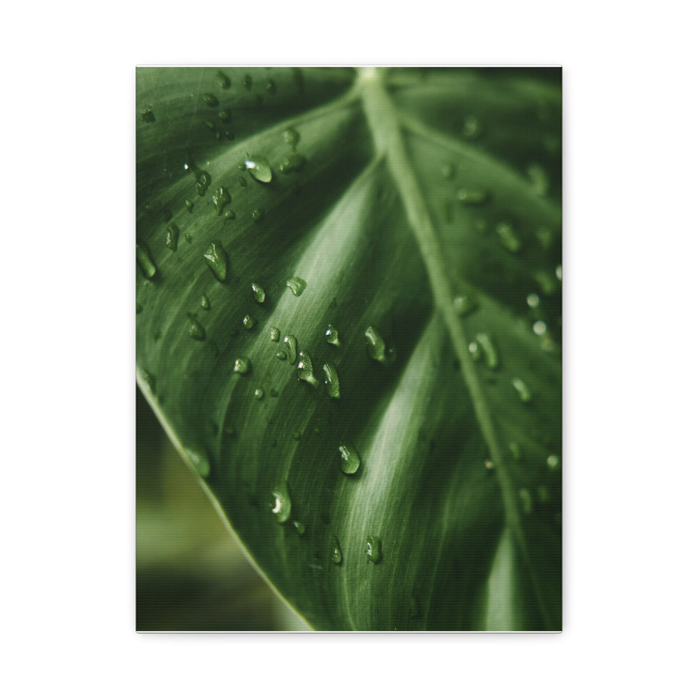 Green Leaf - Modern Oasis Sensory Design & Art Studio - Canvas