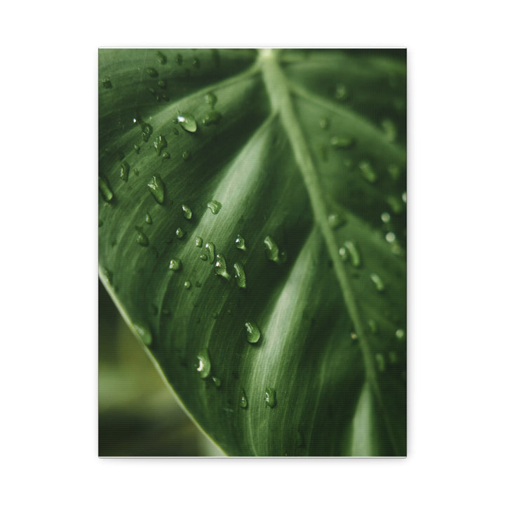 Green Leaf - Modern Oasis Sensory Design & Art Studio - Canvas
