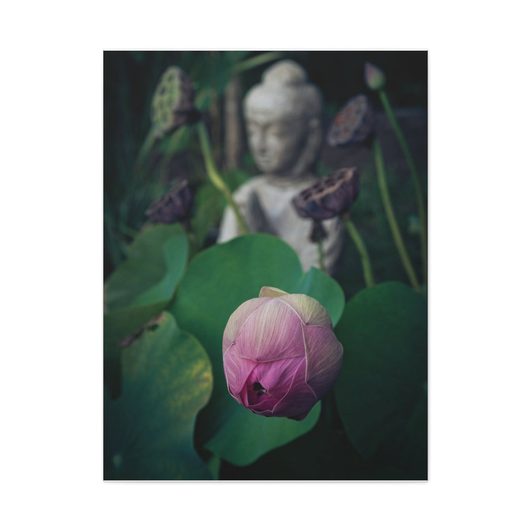 Serene Lotus - Modern Oasis Sensory Design & Art Studio - Canvas